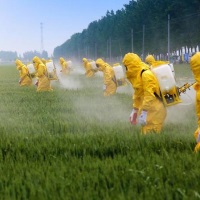 PCBs, Pesticides